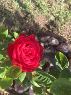 Complejo Andalue - 4