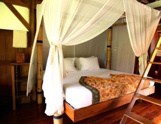 Acajou Hotel - Grande Riviere - 9