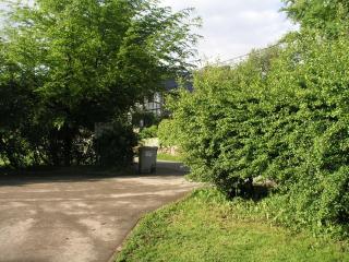 Le Lamier Jaune - Trois-Ponts - 6