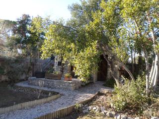 Les Broussous - Sauve - 3