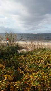 Domek przy plaży - Rewa - 9