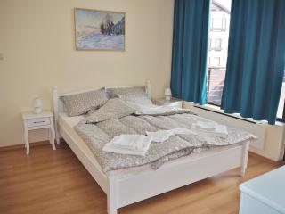 High Five Villas - Pamporovo - 7