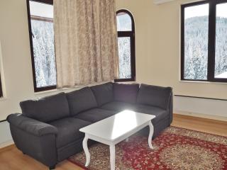 High Five Villas - Pamporovo - 9