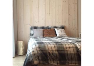 Apartmány na sjezdovce Dolní Morava - Dolní Morava - 8