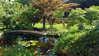 Apartments Ginkgo - Banjole - 1