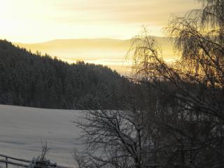 Naturpark Bauernhof Sperl - 1