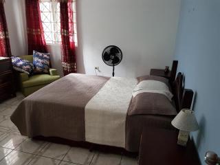 Jus4U-1 The Home Away From Home Villa - Ocho Rios - 2