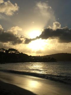 Le Désircaraïbe - 6