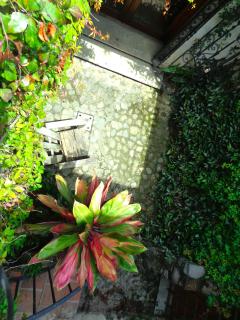 Cissus Hotel Boutique - 5