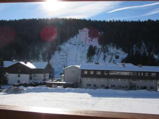 Apartment Coley - Ramsau am Dachstein - 7