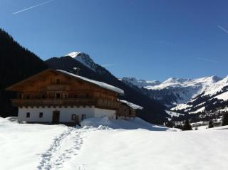 Alpenbauernhaus Vorderbrandthof - Saalbach-Hinterglemm - 0