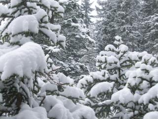 Apart Anna - Ischgl - 8