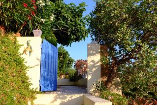 Absolument Levant - Isla de Levant - 3