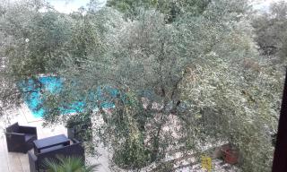 Villa Carolina - 0