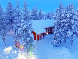 LevinSatu: SeLevi and TaLevi Apartments - Levi - 1