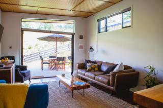 Amongst The Nikau - Waihi Beach - 7
