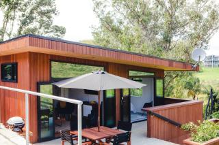 Amongst The Nikau - Waihi Beach - 5