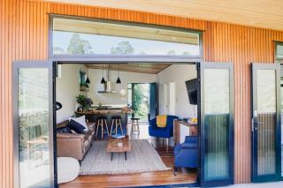 Amongst The Nikau - Waihi Beach - 3