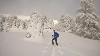 Sonnenchalet Bäckenbauer - 4