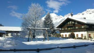 Ferienwohnung am Baby & Kinderbauerhof Stefflhof - Saalfelden am Steinernen Meer - 6