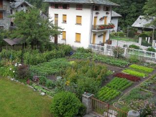 Albergo Mologna - 1