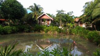 Areeya Resort - Watthana Nakhon - 3