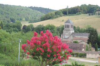 Le jardin des paons - 4