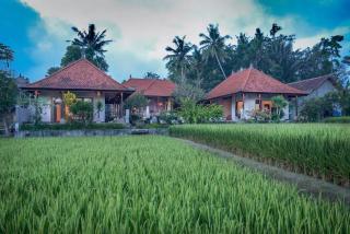 Villa Heron Ubud - Ubud - 3