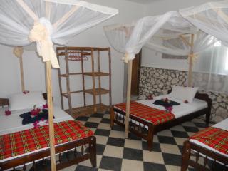 Kimte Beach Lodge - Jambiani - 4