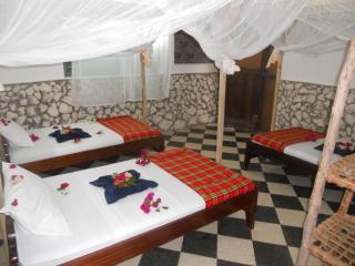 Kimte Beach Lodge - Jambiani - 2
