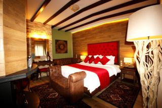 Archontiko Metsovou Luxury Boutique Hotel - Metsovo - 9