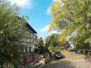 Gutspark Seeblick - Kägsdorf - 7