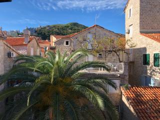 Apartment Viva - Budva - 4