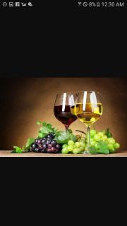 The Red Shed, Anakiwa - Picton - 6