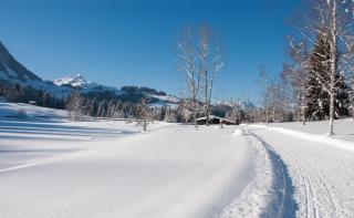 Ferienwohnung Simair - Sankt Ulrich am Pillersee - 6