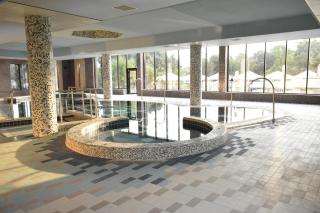 Hotel President SPA - Baile Felix - 4