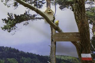 Gästehaus Zweite Heimat - 1