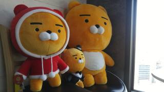 Dynamic Guesthouse - Busan - 5