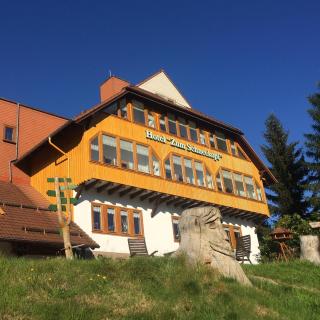 Hotel Zum Schneekopf "Garni" - Gehlberg - 0