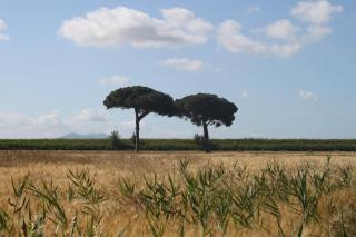 Agriturismo San Luigi - 6