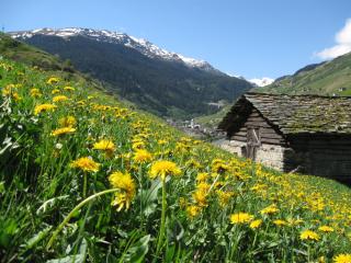 Ferienwohnung Mura - Vals - 6