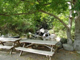 Apartamentos Estop - 5