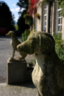Ty Newydd Country Hotel - Hirwaun - 5