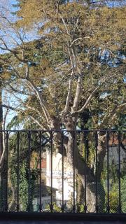 Monolocale turistico Valentini - Albano Laziale - 2