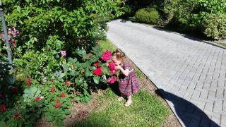 Casa Goldoni Gramado - Gramado - 1