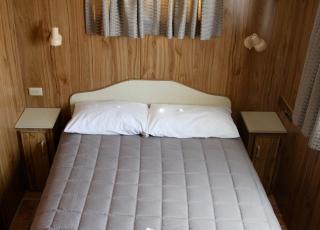City Lights Holiday Park - Tamworth - 1