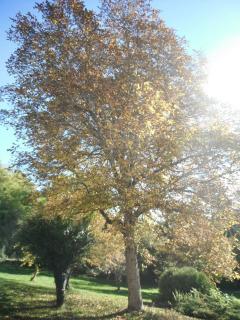 Hotel Restaurant de la Poste - 5