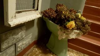 La mia casa di campagna - Rovieto - 5