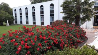 Agape Hotel Niort- Bessines - Bessines - 1