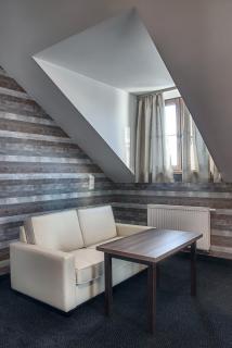 Hotel Pod Szyszkami - Koźmin - 1